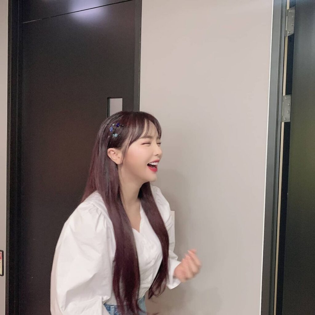 홍진영