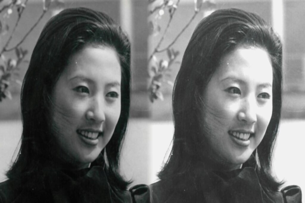 대한민국 여배우