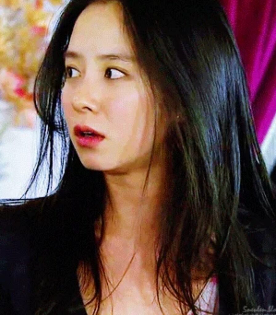 송지효