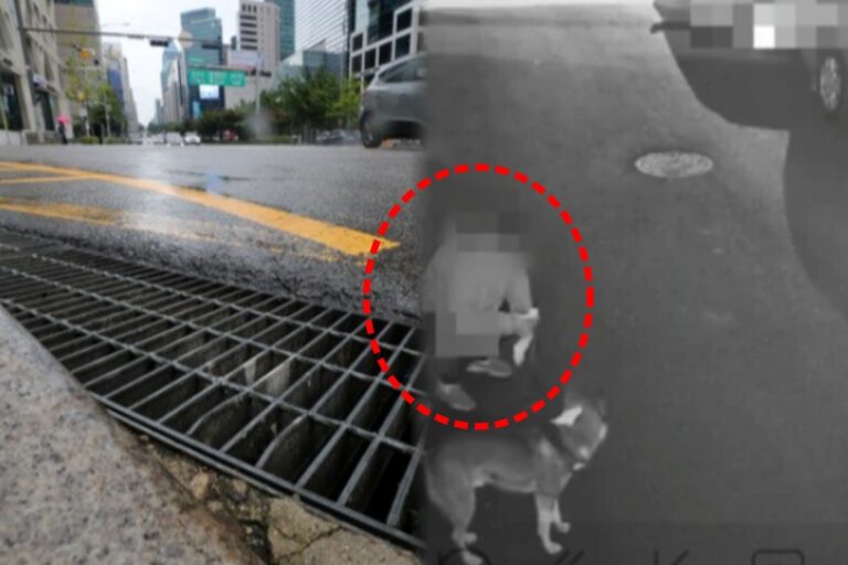 일본
