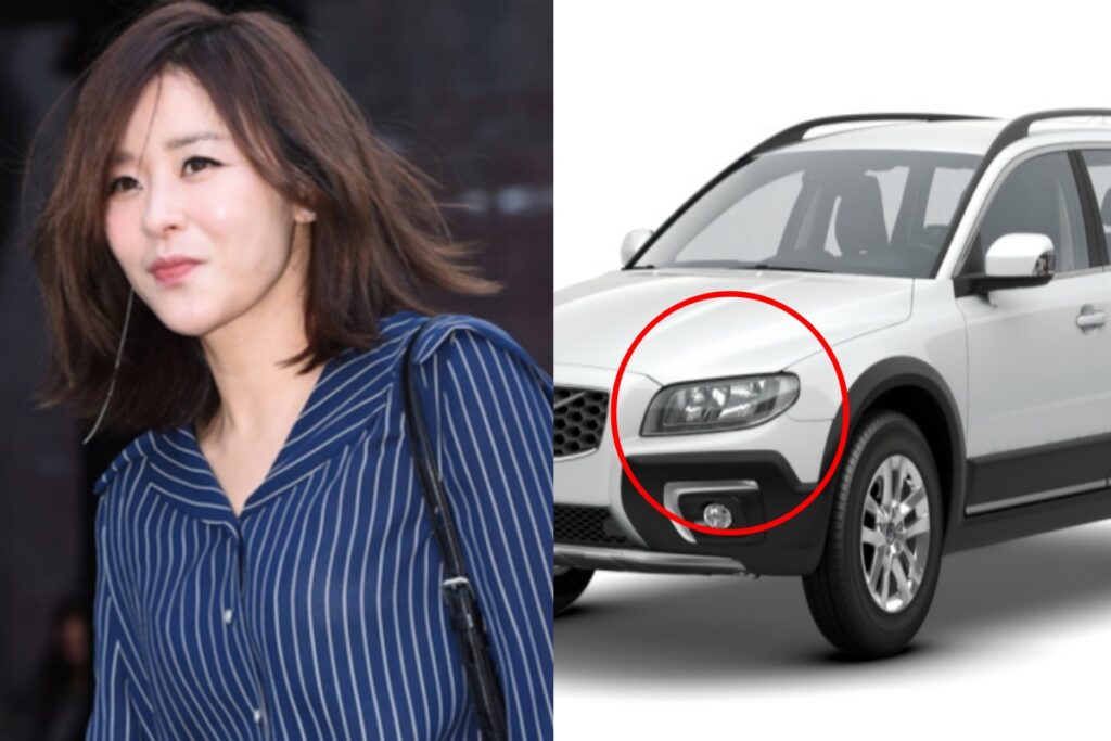 자동차