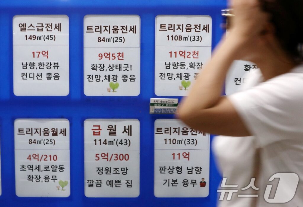 "우리는 어떻게 살라고" … 정부 정책 발표에 무너지는 서민들 6 서민
