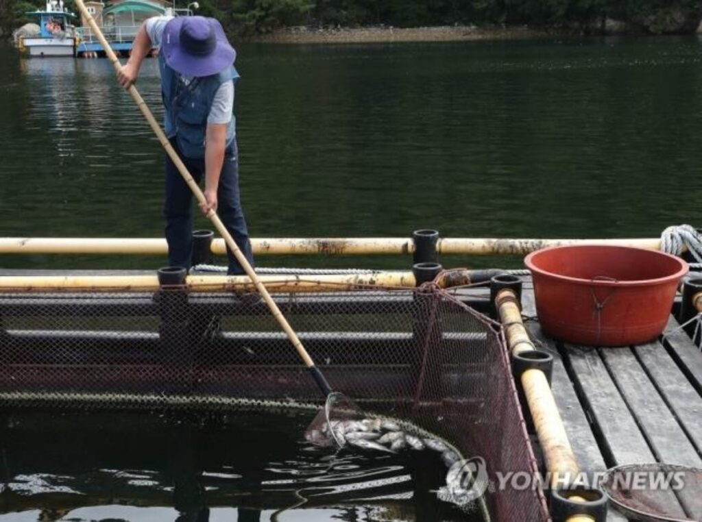 "미안해서 못 팔겠어요", "얼마나 비싸길래" … 金값보다 비싸진 서민 음식의 '정체' 5 서민
