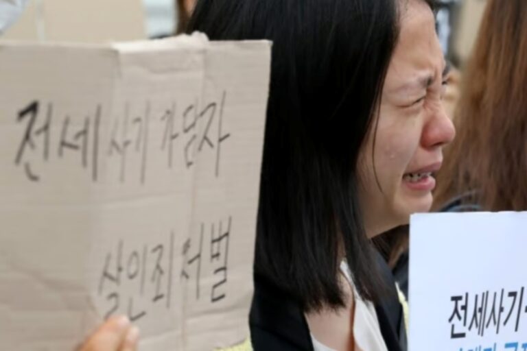 보험