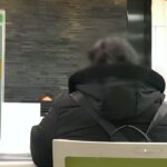 loss insurance
