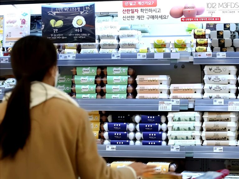 egg and pork prices