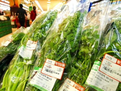minari overseas japan export