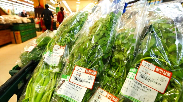 minari overseas japan export