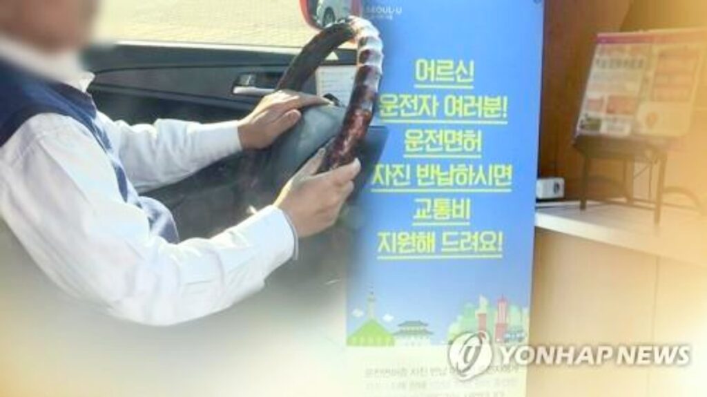 조마조마하더니 "또 이런 일이" … 칼 빼들은 정부 움직임에 65세 이상 운전자 '긴장' 5 운전자