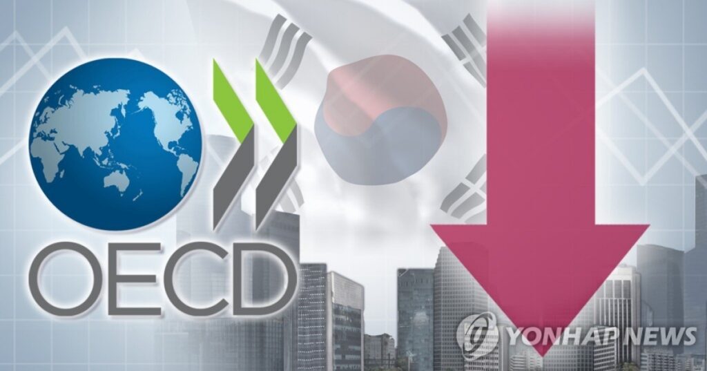 "한국에 대참사가 벌어졌다"... OECD도 두 손 들며 '포기 선언', 마침내 드러난 오싹한 진실 4 OECD