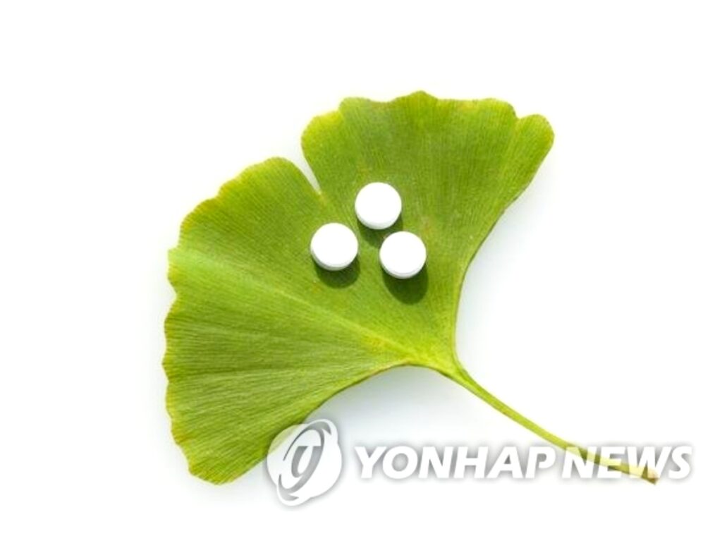 노인