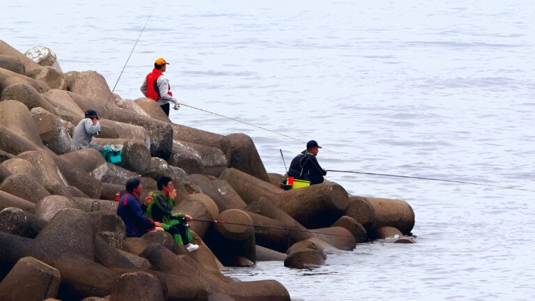 a review of the fishing license system
