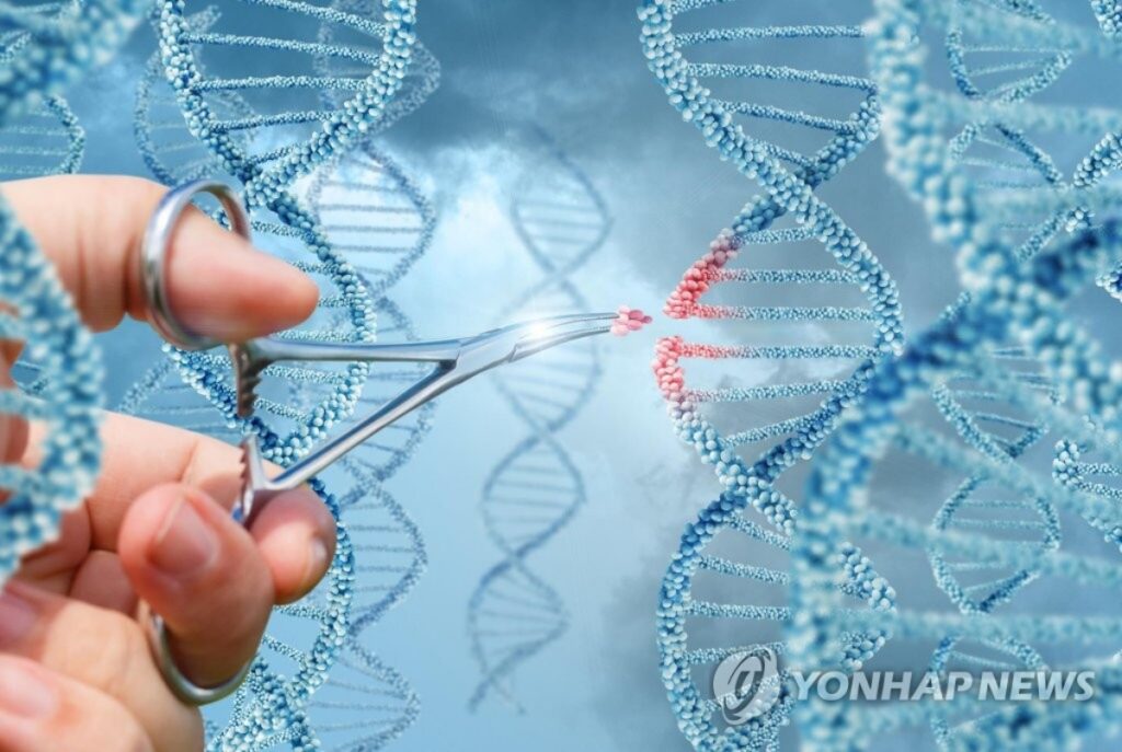 "굶겼더니 암 치료 성공?"… 韓 연구진 대발견에 50조 시장 '시선 집중' 3 유전자