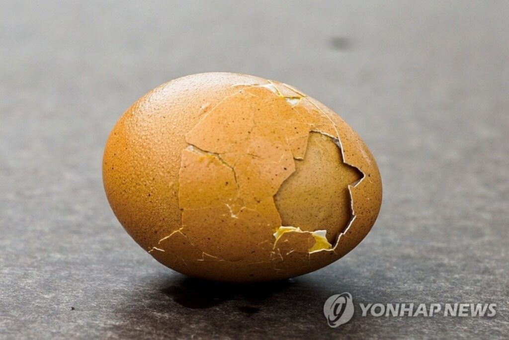 "달걀 껍데기 일반 쓰레기 아닙니다" ... 효능, 활용법 알면 절대 못 버리는 '천연 보물' 2 달걀