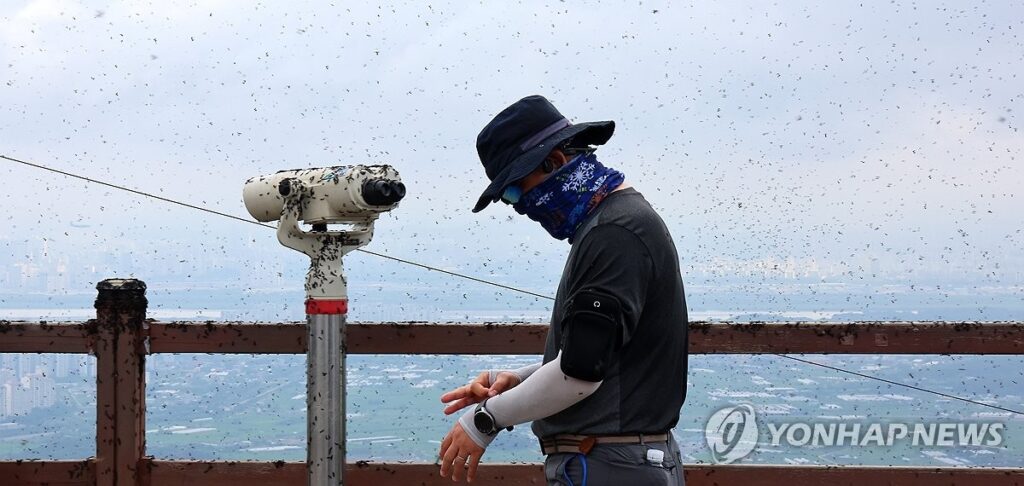 "'러브버그가 익충? 그런 소리 입 밖으로 내지 마세요"… 단 하루 만에 자동차 '이 지경까지' 망가집니다 3 자동차