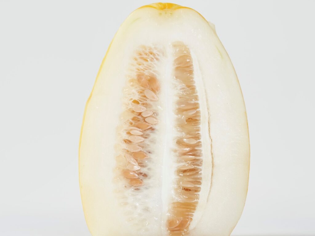 "이럴 거면 차라리 먹지 마세요" .. 마트 사장도 모르는 참외 제대로 먹는 법 3 참외