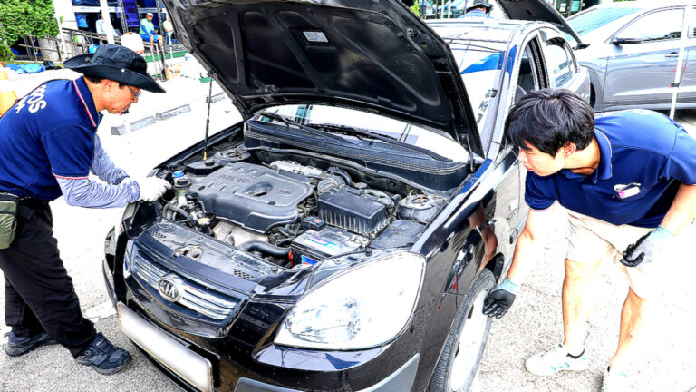 Free vehicle inspection