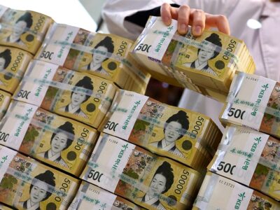 Government loans