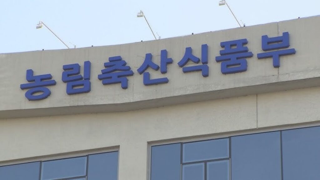 정부
