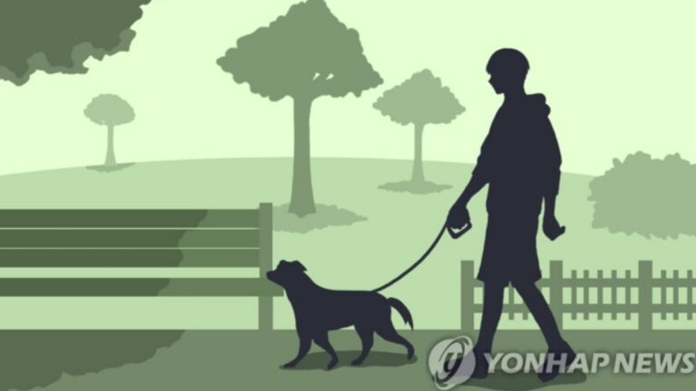 여의도 불꽃축제