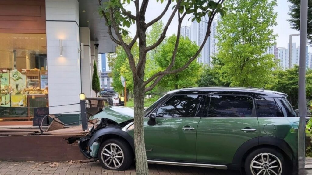 동탄
