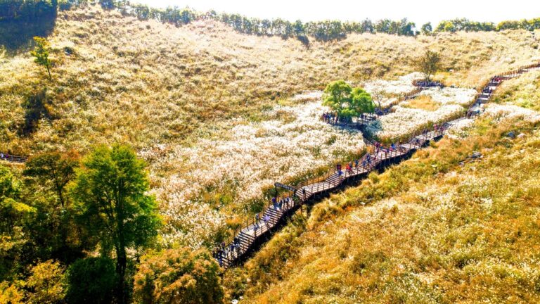 서울 근교 가을 명소