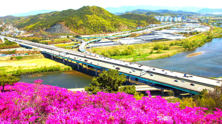 Daegu Seo-gu Redevelopment