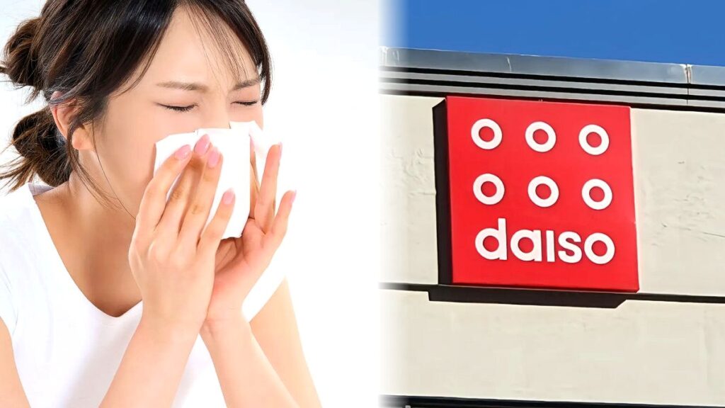 다이소