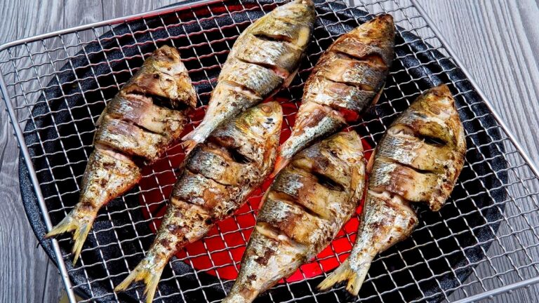gizzard shad