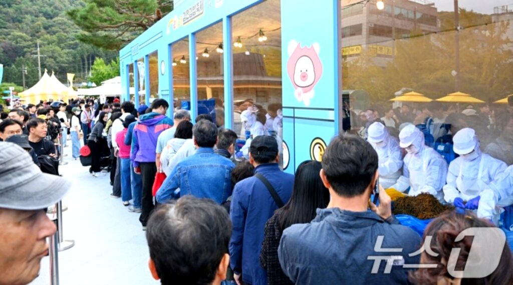 "제주도랑 180도 다르네" … '이것' 없애자 전국에서 '우르르', 조용하던 소도시가 '발칵' 뒤집어진 이유 4 제주도