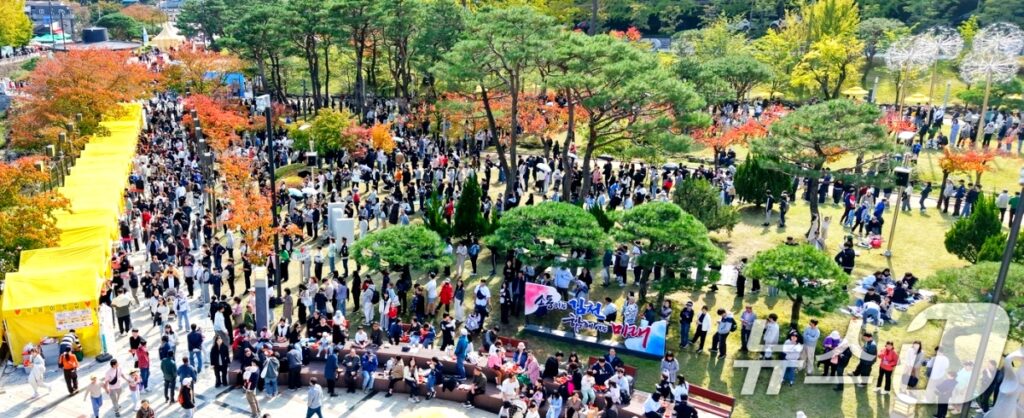 "제주도랑 180도 다르네" … '이것' 없애자 전국에서 '우르르', 조용하던 소도시가 '발칵' 뒤집어진 이유 3 제주도