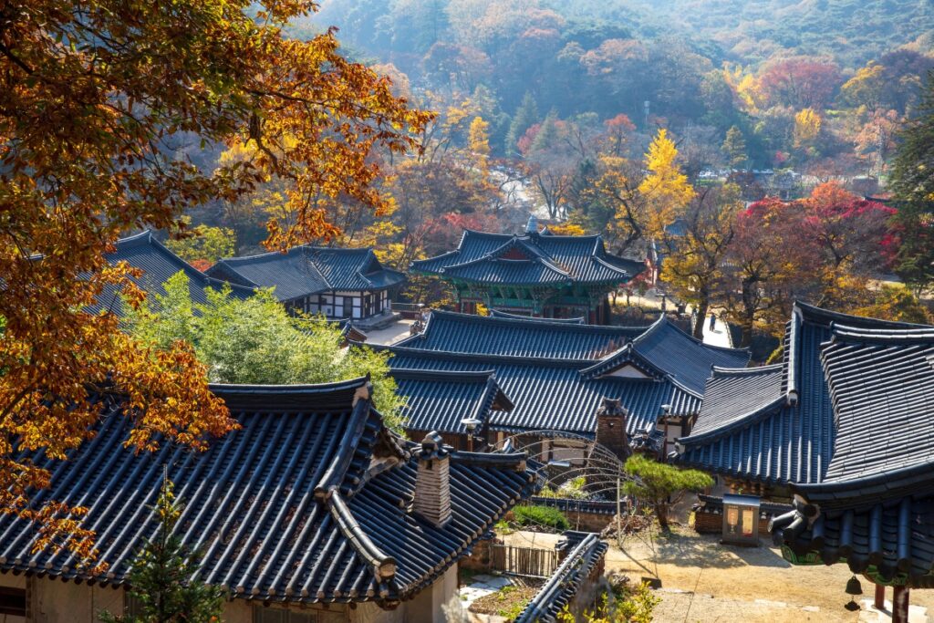 "전쟁도 피해간 기적의 공간" ... 역사의 흔적이 남겨진 천년 단풍 여행지 2 단풍 명소