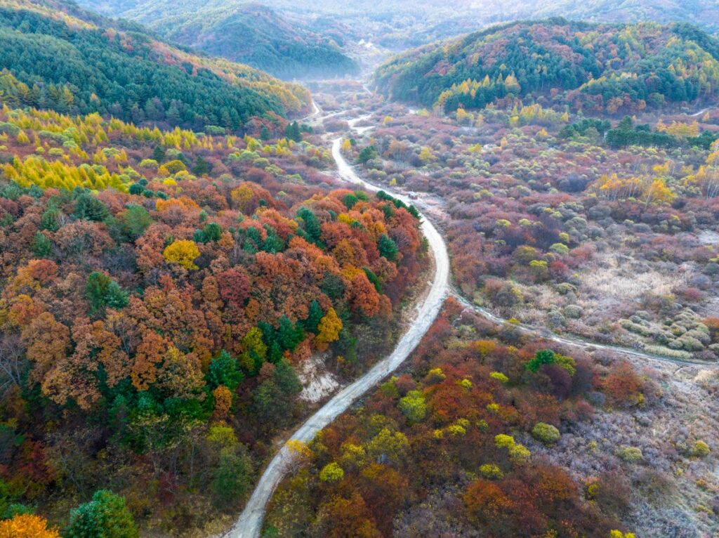 가을 명소