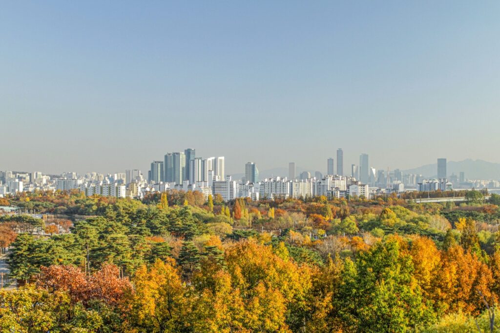 "이렇게 변했다고?" … 억새·단풍·코스모스 다 모였다, 3색 가을 만끽하는 도심 공원 3 가을 명소