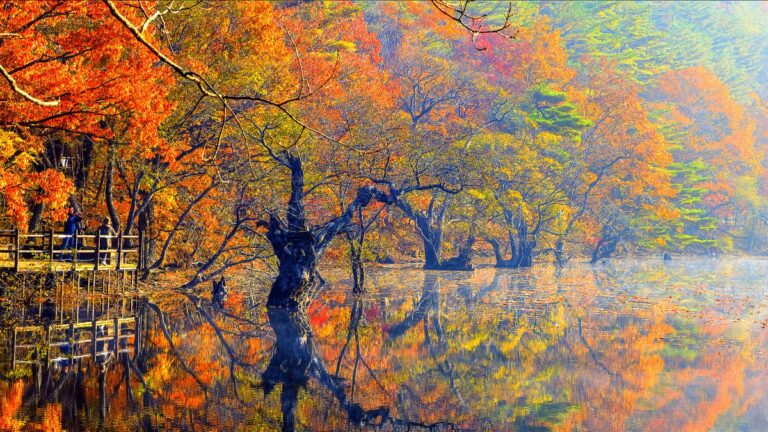 청송 가을 명소