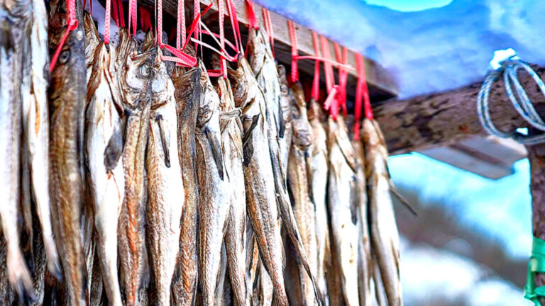 GS Retail Seafood History System