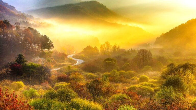 강원도 가을 명소