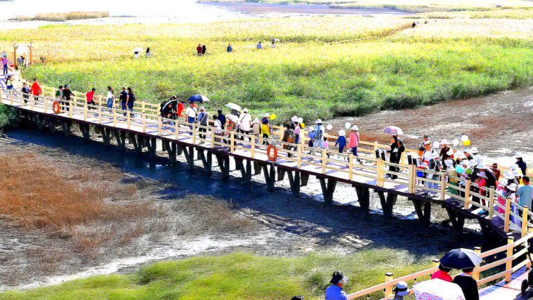 a half-price trip to Gangjin