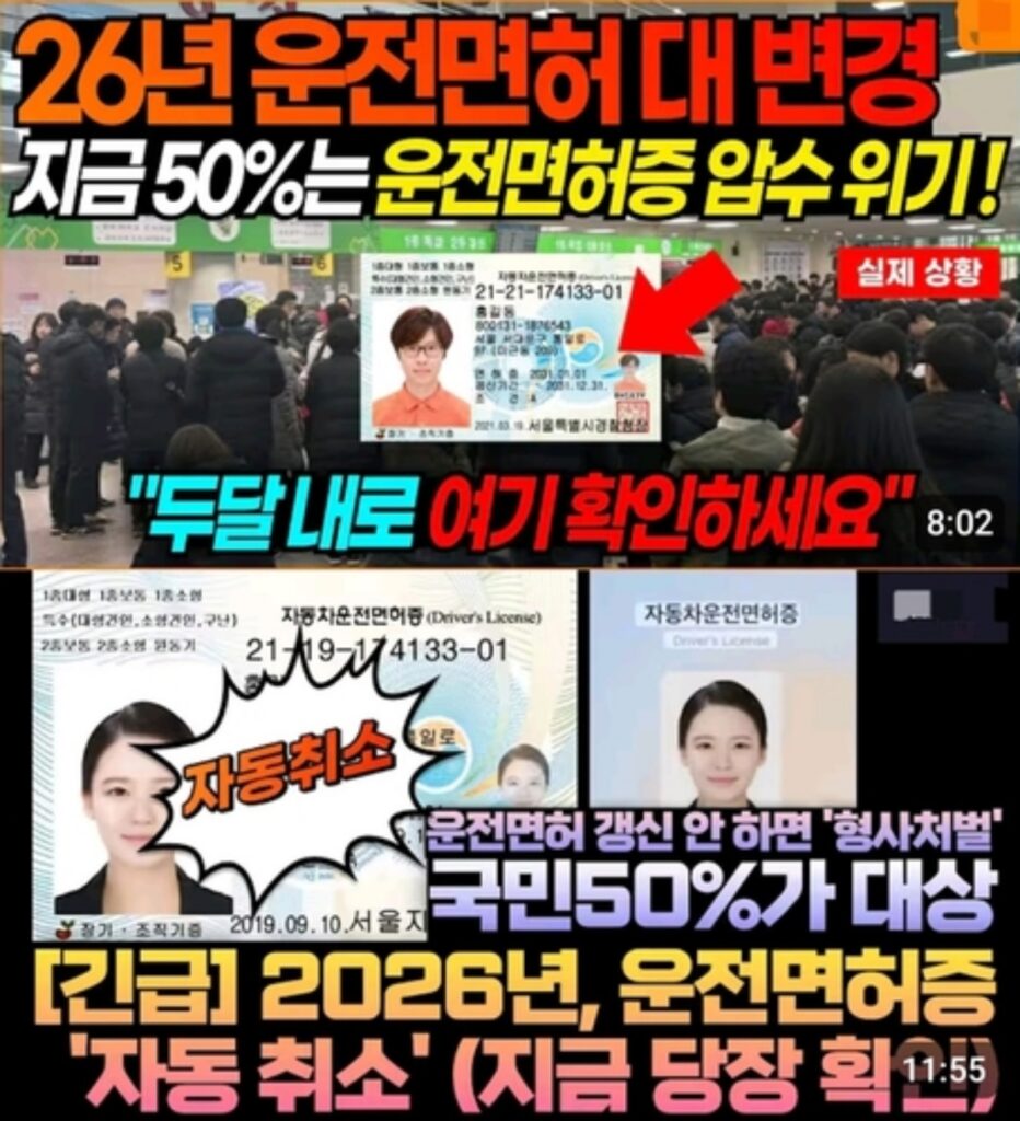 "운전하면 무조건 형사처벌?"… 전 국민 공포에 빠트린 '섬뜩한 소문', 놀라운 진실 밝혀졌다 3 운전