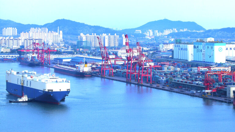Korean persimmon exports to China