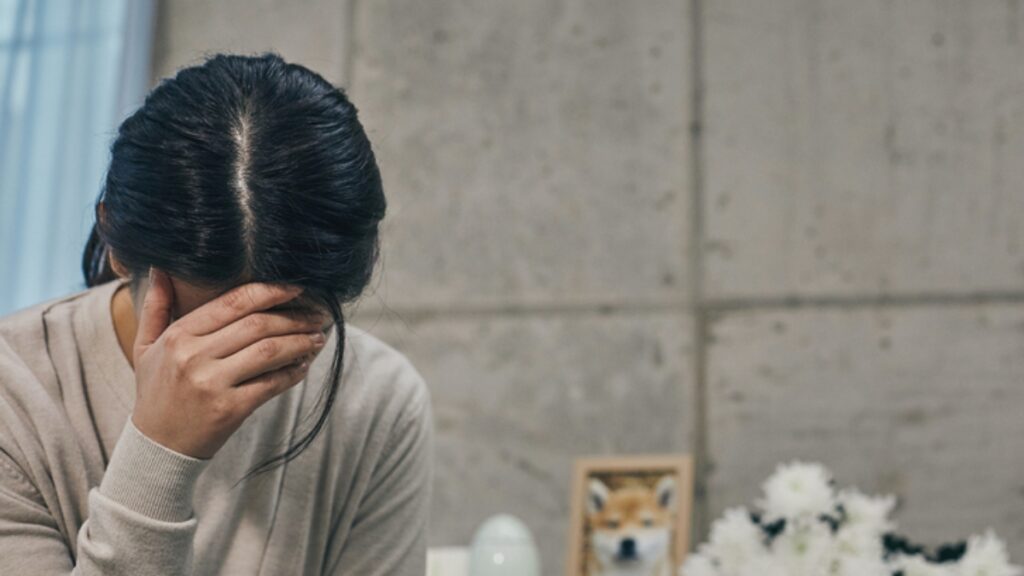 "동료 승진 소식에 가슴 철렁했다면" … 자책 마세요, 사실 당신 뇌가 '이것' 보낸 겁니다 2 자책