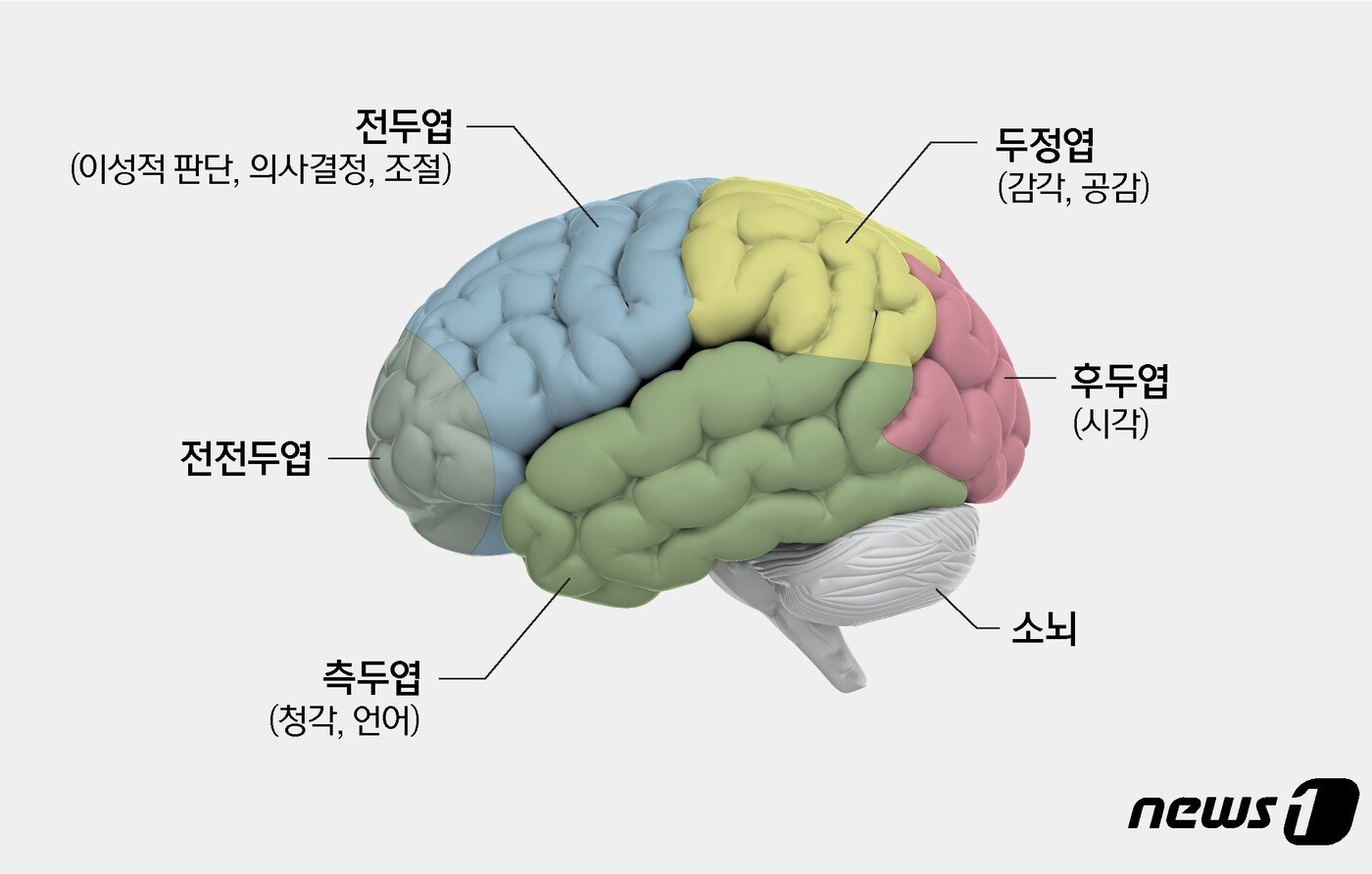 악플러 그들은 왜? "마약처럼 쾌락…열등감 보상심리"[악플러의 동굴]⑤ - 뉴스1