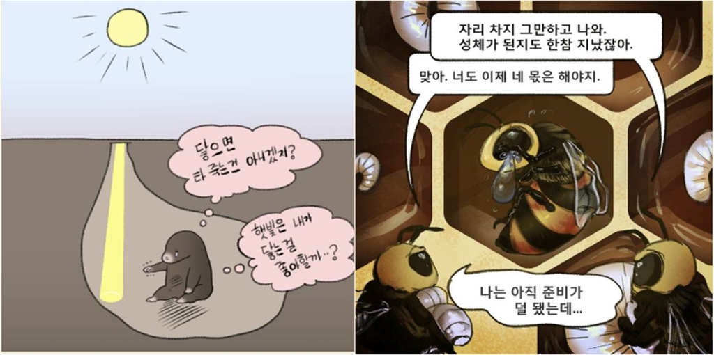 사람이 무서워요"…가정·사회가 준 상처에 은둔 택한 청년들 | 연합뉴스