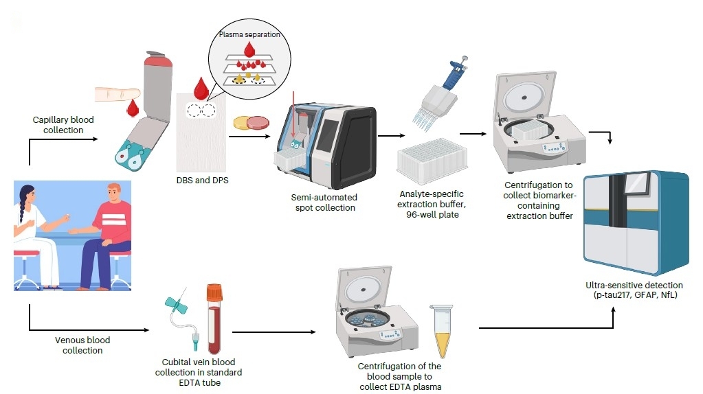 사이테크+] "손끝 혈액으로 알츠하이머병 진단…뇌척수액 검사와 86% 일치" | 연합뉴스