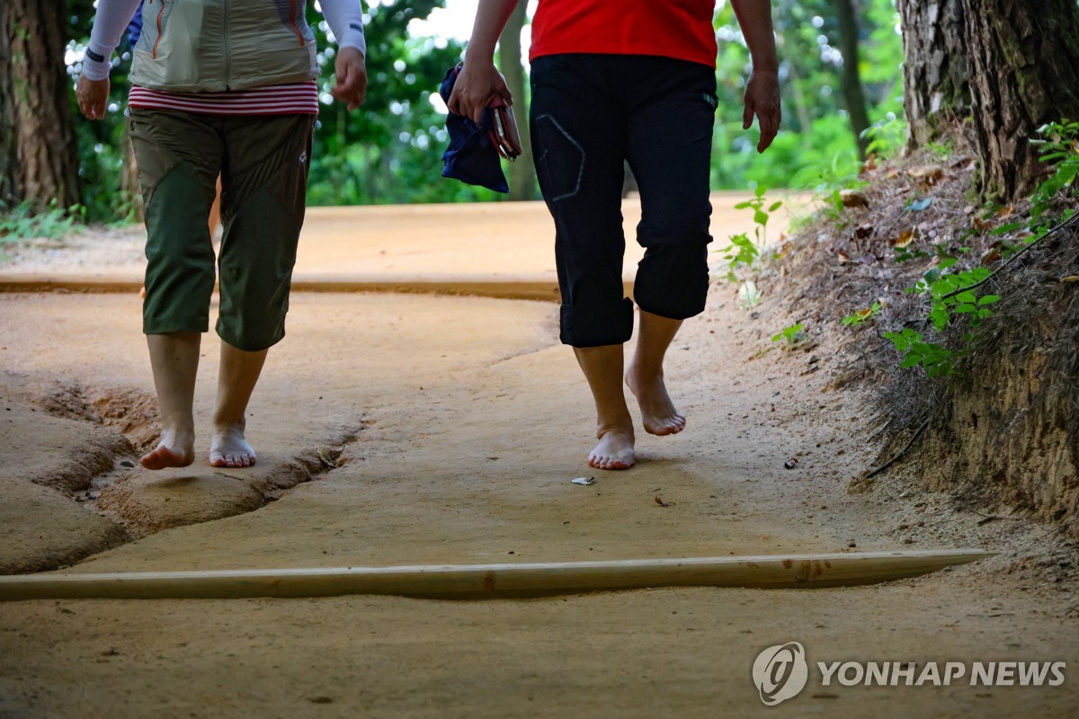 "이게 바로 핵심이다" .. 50대 '걷기 운동', 치매 예방부터 근감소 억제까지 3 1만보까지 안걸어도 된다…하루 7천보면 질병예방 충분 | 연합뉴스