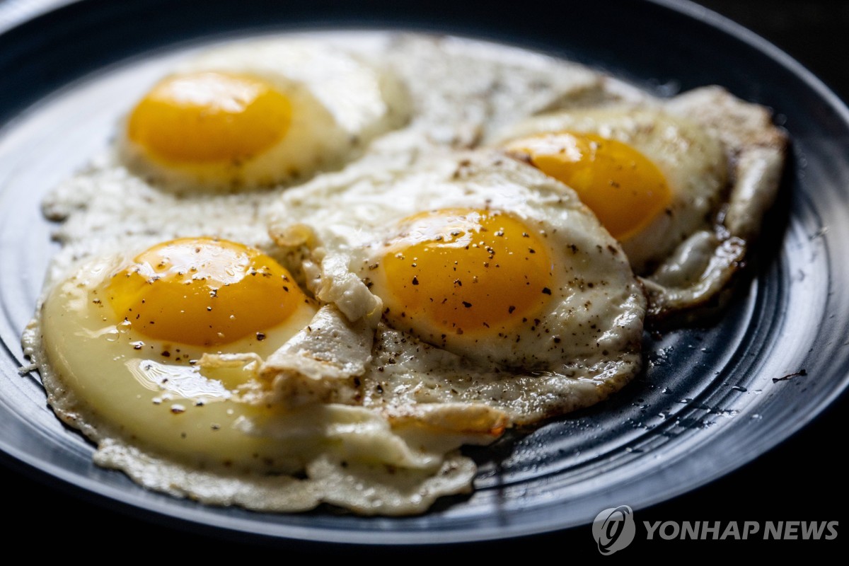계란·살모넬라 경고