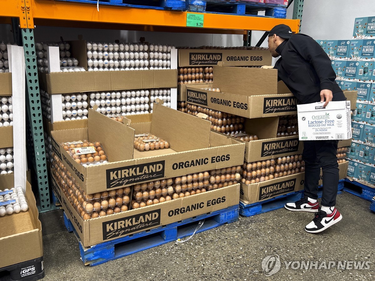 달걀 식중독 조사