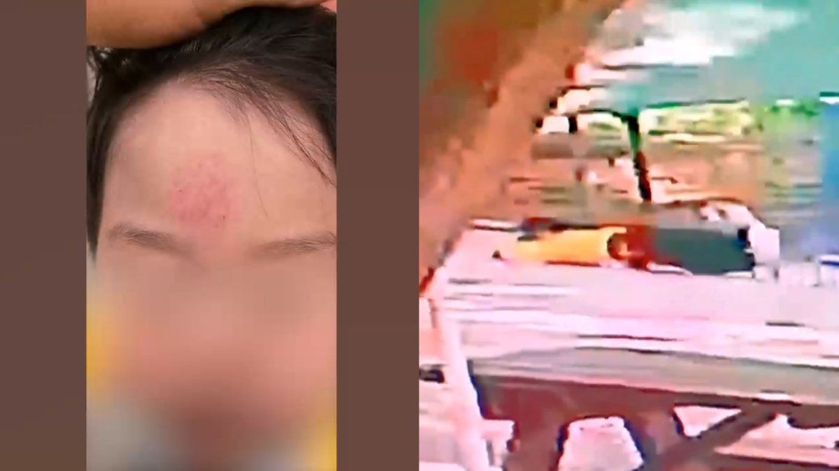 "흡연 훈계하다 오히려 폭행 혐의"…일반 시민 단속 권한 없다, 법조계 '경고' 2 공원 폭행 경고 장면