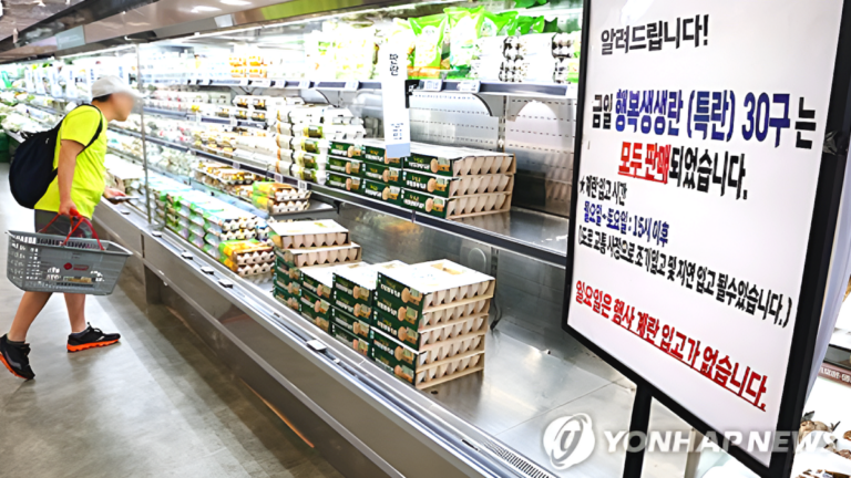 정부, 수입란 공급 확대