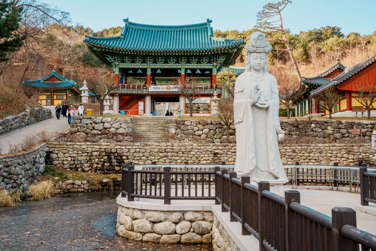 "바다와 산을 한눈에 담는 최고의 힐링"… 동해 대표 명소 추천 2 동해